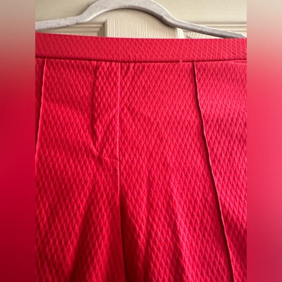 Vibrant Red Textured Pants - Picture 2 of 6